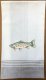 Freshwater Fish - Trout - Grey